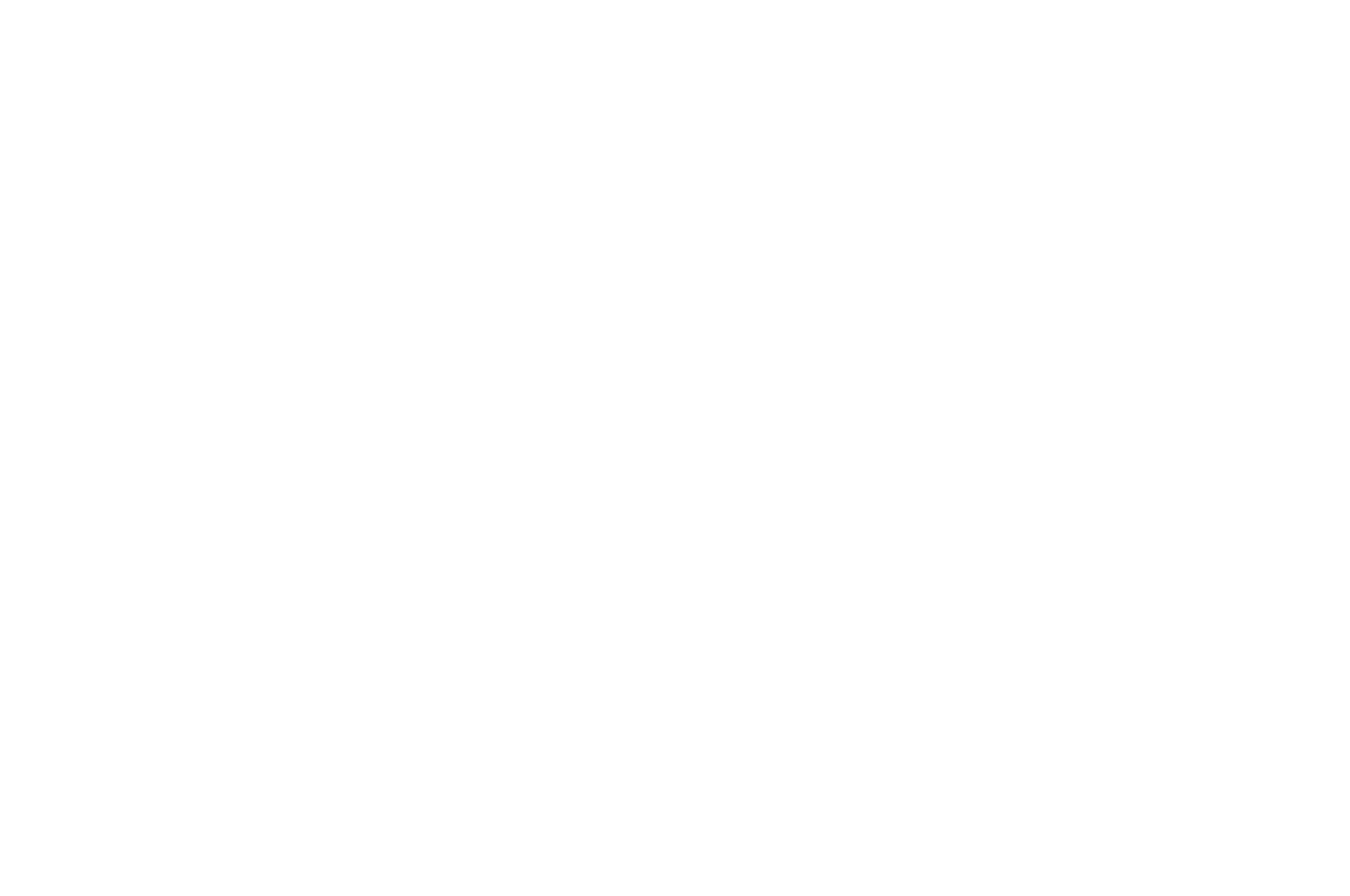 OFFICIAL SELECTION - Egyptian American Film Festival - 2025 (2)